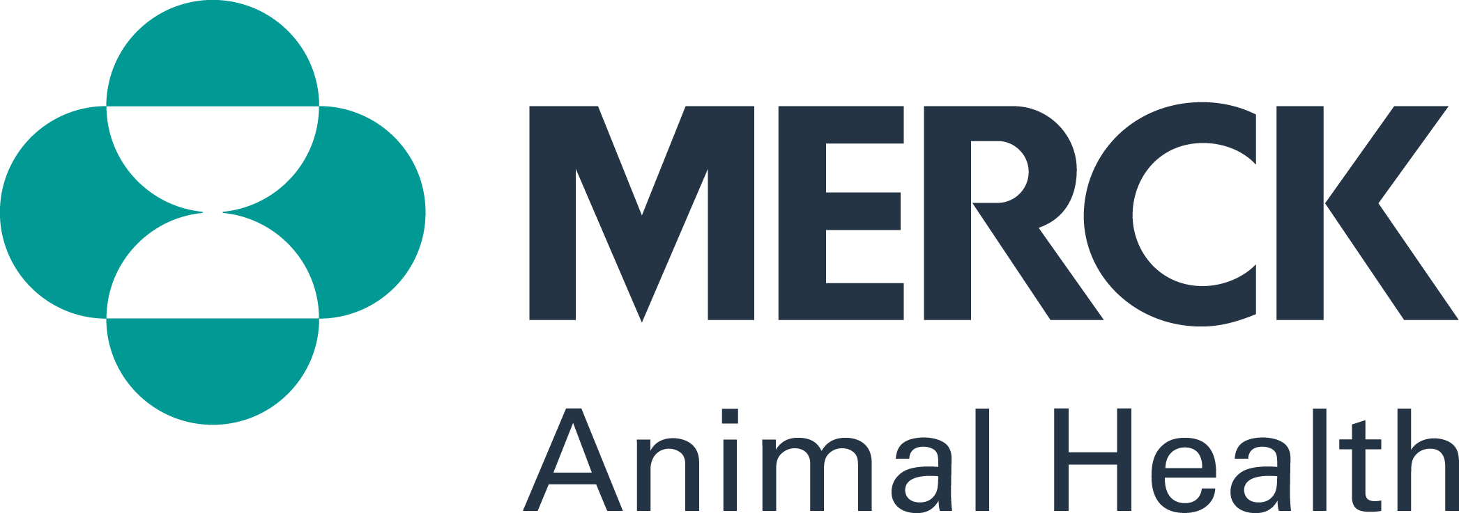 Merck Logo