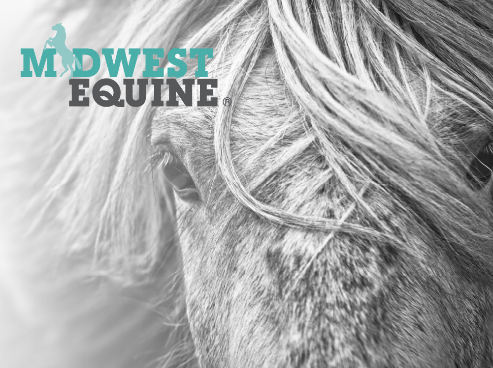 Midwest Equine