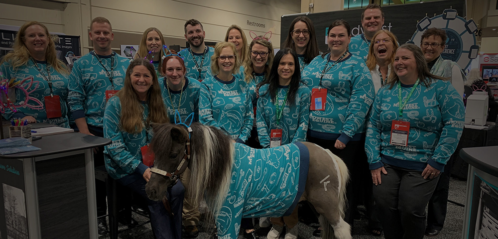 Equine Meet the Team