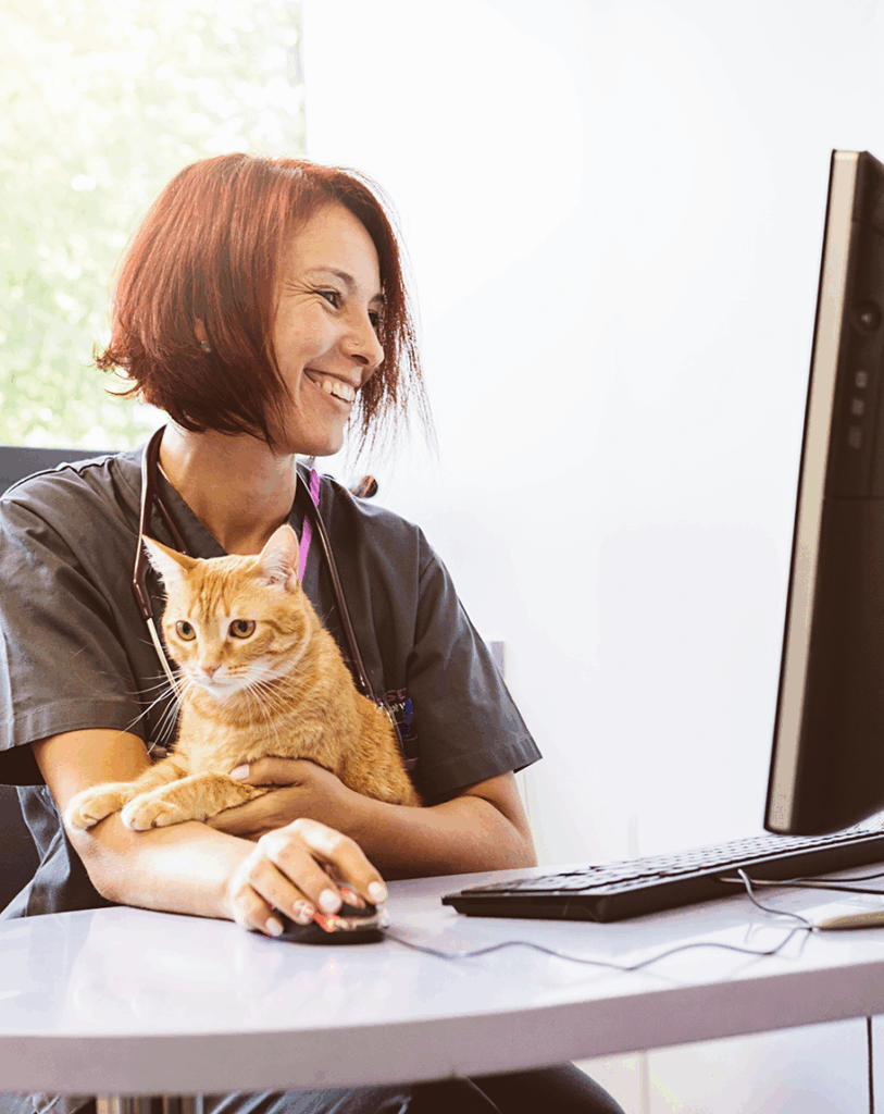 Veterinary Technician Holding Cat - Business Solutions