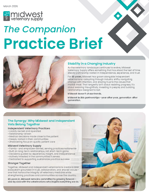 Companion Practice Brief