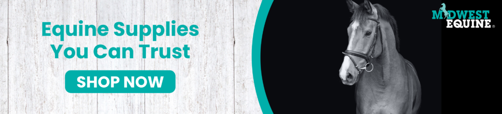 Equine 'Shop Now' Banner